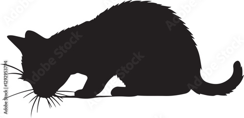 cat back silhouette white background