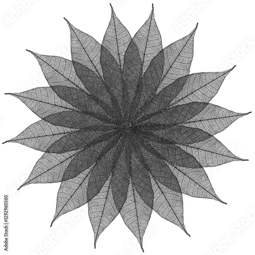 Rosaces de feuilles sèches