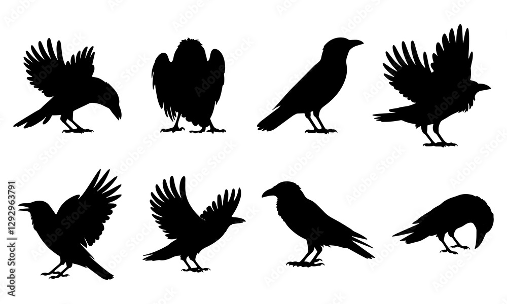 Obraz premium Black Crow Silhouette vector illustrations