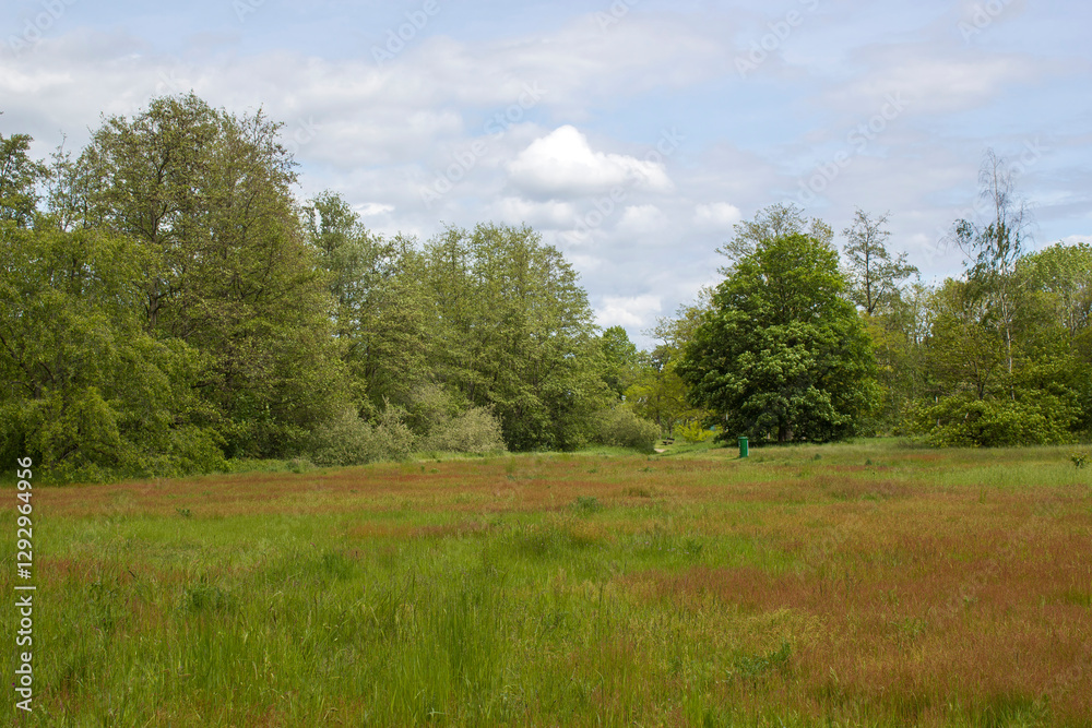 German countryside landscape, Lower Rhine Region, Germany