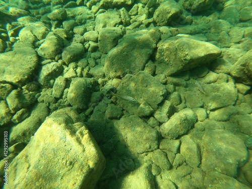Underwater scene at Kuleli Bay. Under sea view with fishes, sun rays, sen beam, sands and rocks in Fethiye, Mugla, Turkey