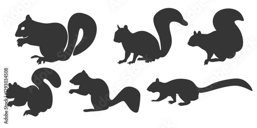 Set of squirrel silhouette illustration