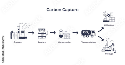 Carbon capture involves capturing CO2 from sources, compressing it, and transporting for storage or utilization, transparent background.
