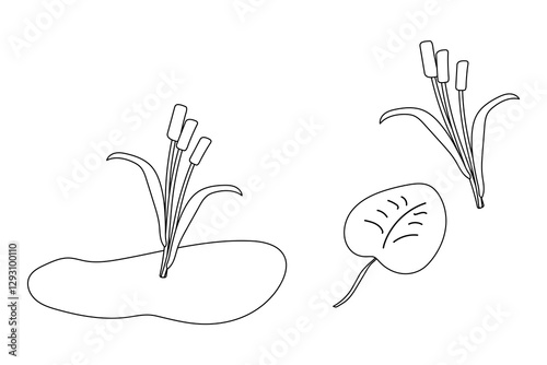 Black and white coloring page featuring cattail plants, a lily pad, and a pond in a simple nature-themed design.