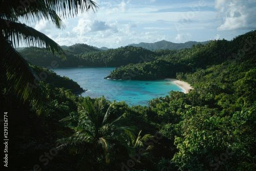 Tropical Cove Framed by Lush Jungle and Palm Trees