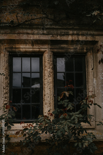 A old window with green leaves. Dark academia. reflection window.