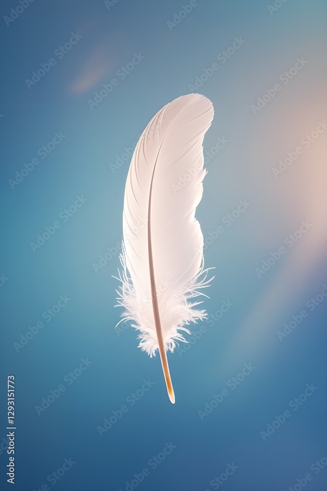 White feather on a blue background with soft and fluffy texture White feather on a blue background with soft and fluffy texture