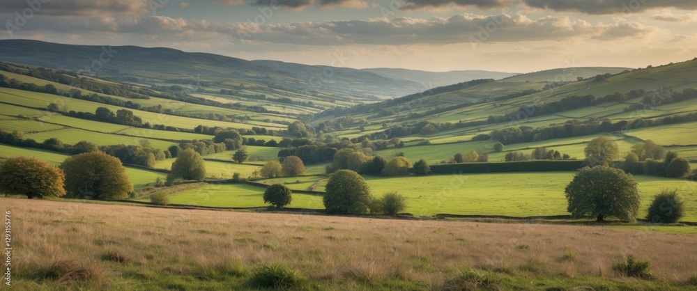 Obraz premium Panoramic View of Lush Green Rural Landscape Under Dramatic Clouds with Open Space for Text or Graphics