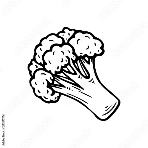 outline drawing of a fresh broccoli for coloring pages