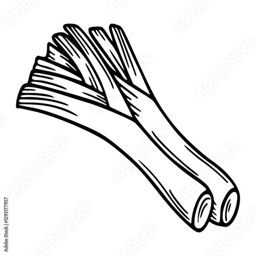 outline drawing of a fresh leek for coloring pages