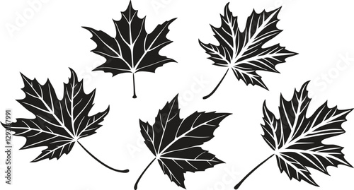 Maple Leaves Silhouettes in Black and White Collection