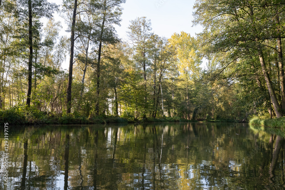 Fototapeta premium Spreewald, Germany