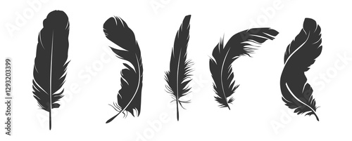 Set of feather silhouette illustration