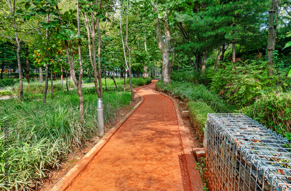 Obraz premium Yangjaecheon Yellow Soil Path