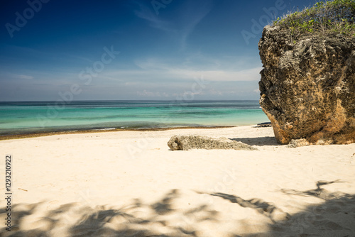 Fototapeta Naklejka Na Ścianę i Meble -  tropical beach