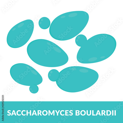 saccharomyces boulardii Design vector illustration