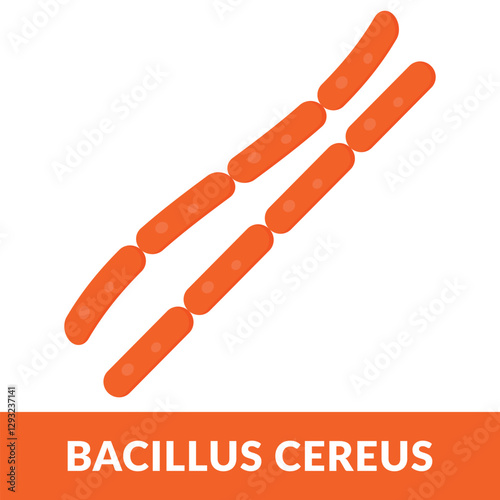 Bacillus Cereus Design Vector Illustration
