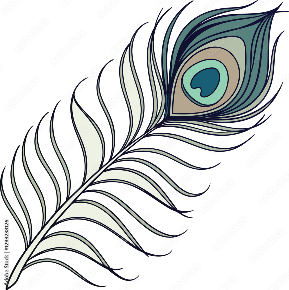Line Art Peacock Feather\, image size:998x1000