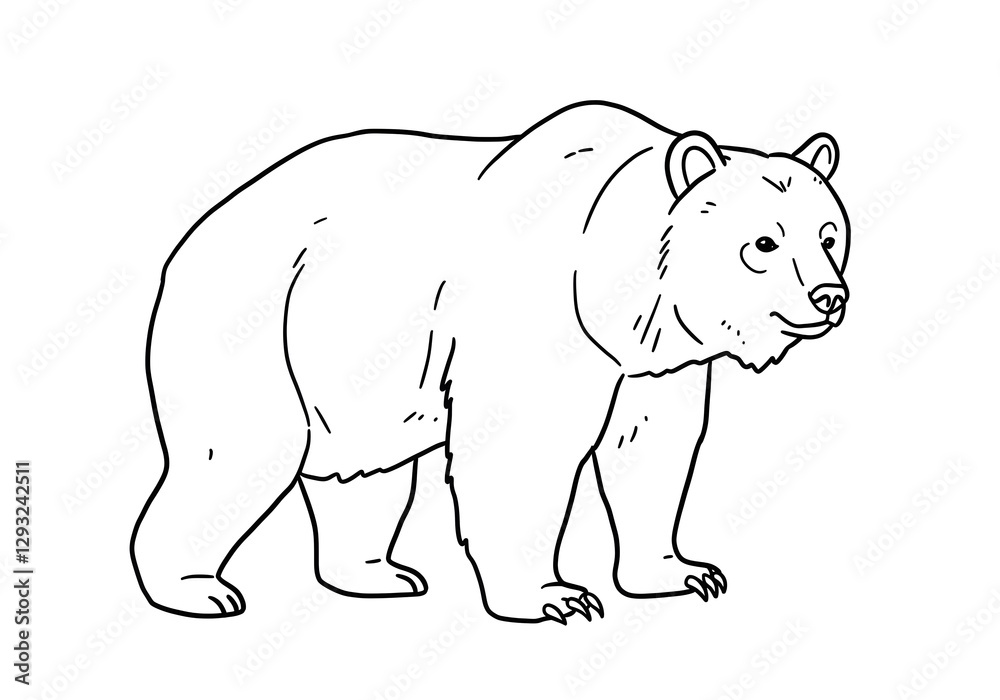 Fototapeta premium Illustration of Bear Standing Upright in Simple Black and White Line Drawing