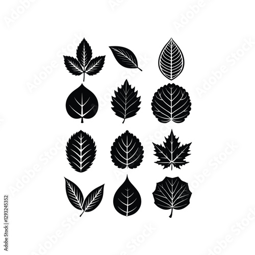 Vector Silhouette Leaf Icon Set  Willow, Poplar, Sycamore, Chestnut, Linden, Alder