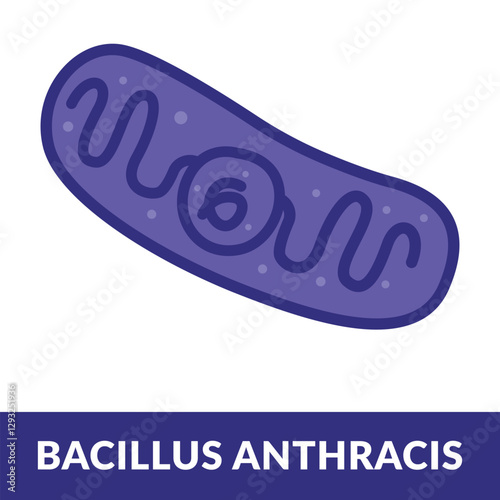 bacillus anthracis Structure design vector illustration