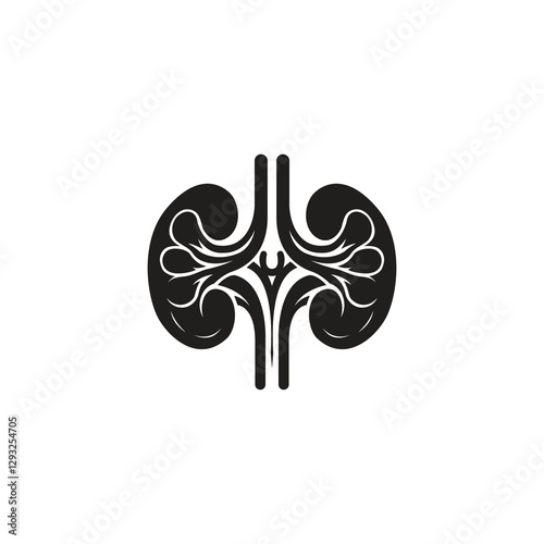 Human kidneys silhouette vector