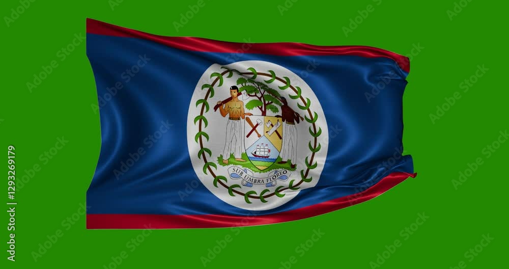 Belize flag animation, green background, 4k