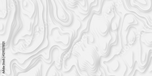 Abstract white paper cut background with lines. Background of the topographic map. White wave paper curved reliefs abstract background. Realistic papercut decoration textured with wavy layers.