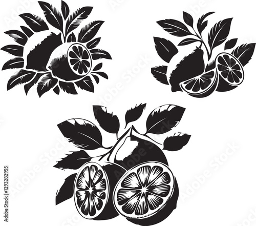 silhouette of clean vector of lemon isolated