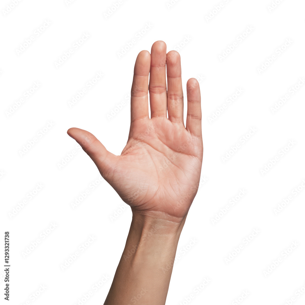 raised hand, palm up, isolated on white background raised hand, palm up, isolated on white background