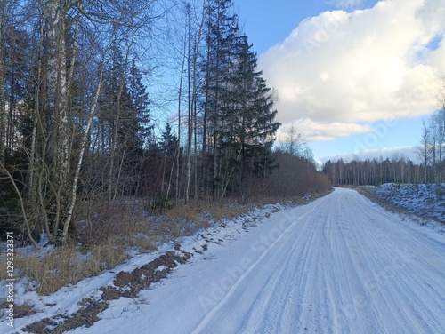 Road in forest in Siauliai county during sunny winter day. Oak and birch tree woodland. Sunny day with white clouds in sky. Bushes are growing in woods. Sandy road. Nature. Winter season. Miskas.