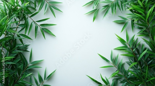 Fresh green leaves frame on white background