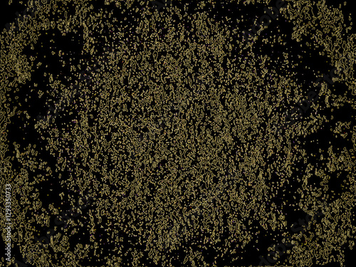 black and yellow background. Beauty of fresh bright background in dark color. Decorative bright retro backdrop. Cool creative template layout. Ornate stylish wrapping paper metal pattern.