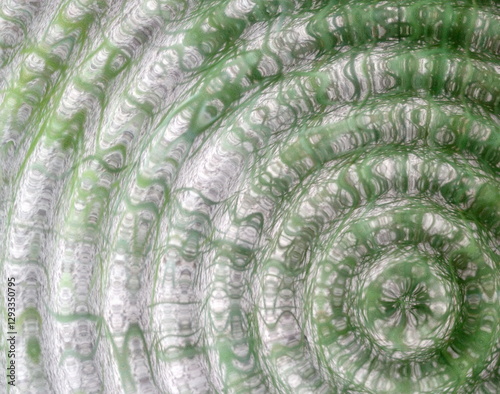 abstract background with circles