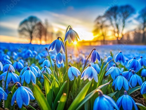Stunning Blue Snowdrop Flowers Spring Meadow Landscape Photography