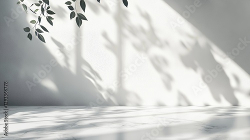 A simple, light background with soft leaf shadows on a pale wall and marble floor. Perfect for presentations.

