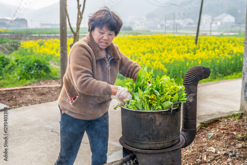 Rural women drying vegetables in spring and blanching cabbage moss in a pot