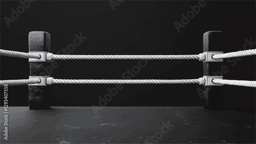 The image is a monochrome, close-up shot of a boxing ring.  The focus is on the two corner posts and the ropes connecting them. The background is entirely black, providing high contrast to the