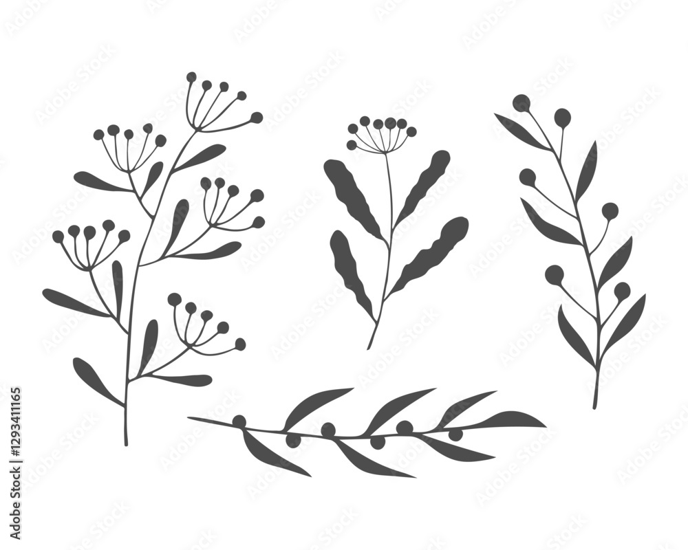 Collection of twigs and sprigs summer meadow. Hand drawn silhouette plants Collection of twigs and sprigs summer meadow. Hand drawn silhouette plants