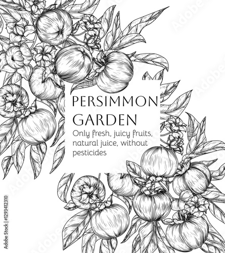 Vector illustration of a persimmon garden with fruits, leaves and flowers in engraving style. Fresh farm fruits. Organic farming. Nutrition banner, healthy eating