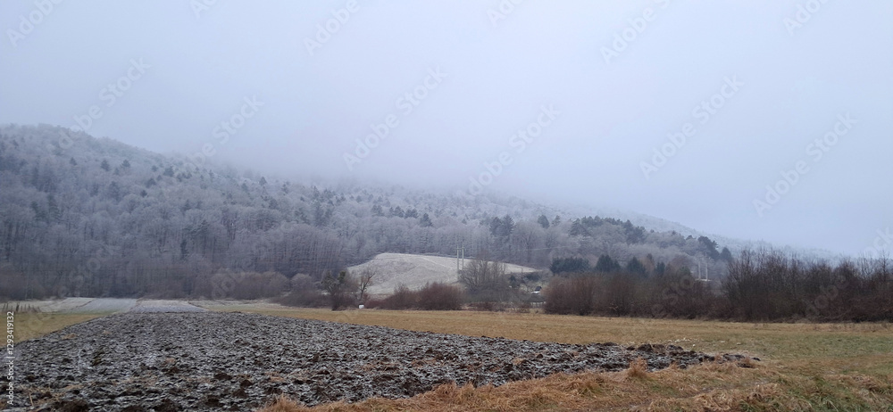gray cold weather. Fog on Pohorje slope. Forest under frost. Slovenia.