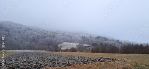 Obraz na płótnie gray cold weather. Fog on Pohorje slope. Forest under frost. Slovenia. w salonie