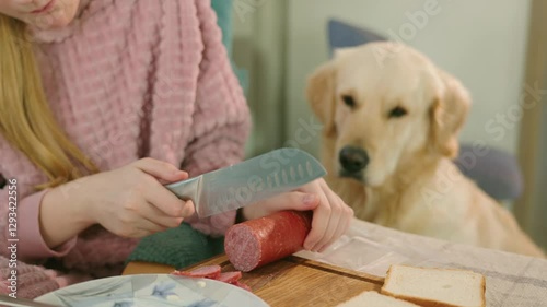 Golden Retriever intently watching a girl slice sausage, eagerly anticipating a taste with a hopeful expression.