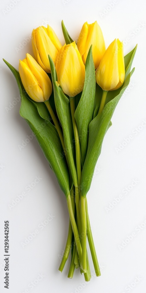 Bright yellow tulips in a bouquet, stems bound together, set against a white background. Close up view, vivid colors, and soft lighting Bright yellow tulips in a bouquet, stems bound together, set against a white background. Close up view, vivid colors, and soft lighting