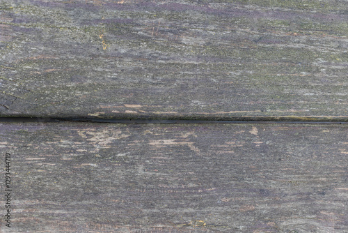 The board is painted orange, close-up. Wood texture. Natural wood background. Old wooden panel, faded and peeling paint. Tree background