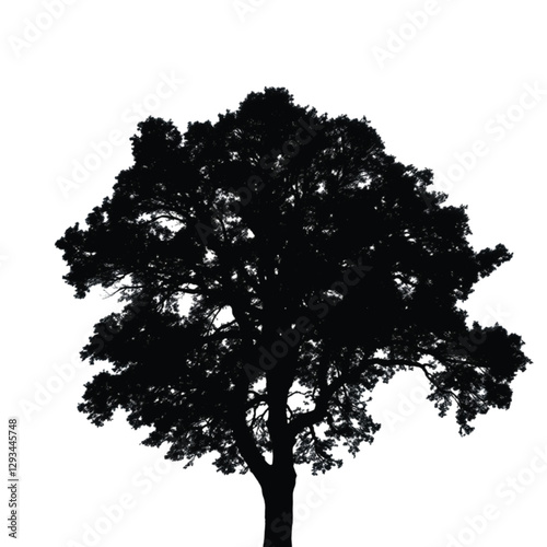 Sycamore forest tree icon - Simple Vector Illustration
