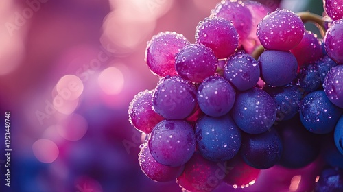 Wallpaper Mural fresh, bunch, grapes, glistening, dew, juicy, ripe, fruit, vineyard, natural, organic, healthy, vibrant, delicious, sweet, refreshing, nutritious, plump, glossy, harvest, purple, green, succulent, app Torontodigital.ca