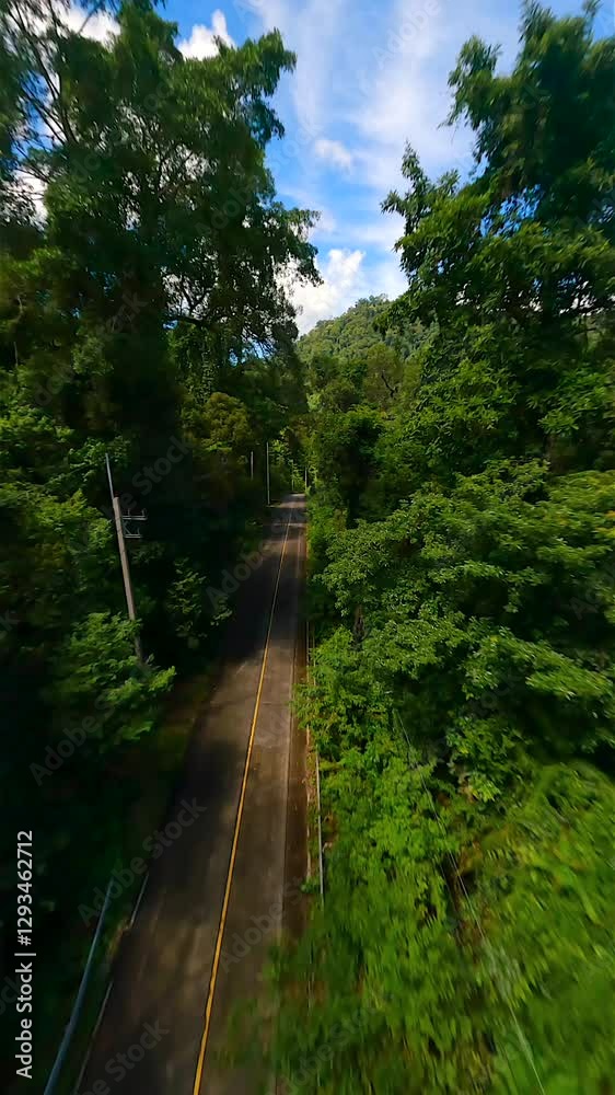 Cinematic FPV flight over road through lush tropical forest in summer, Thailand Cinematic FPV flight over road through lush tropical forest in summer, Thailand