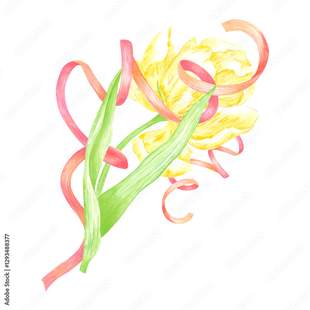 Fototapeta premium Hand drawn watercolor peony like yellow tulip with red ribbon. Illustration of spring flower isolated on white background. Can be used for postcard, label, scrapbook and other printed products.