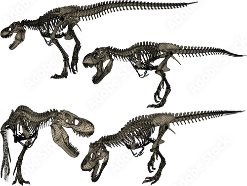 vector sketch of trex dinosaur bone fossil design for display in a museum 